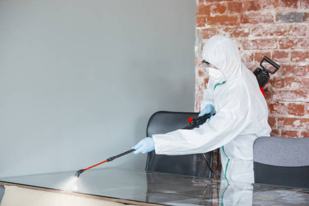  Minoa, NY Mold Removal & Remediation Pros